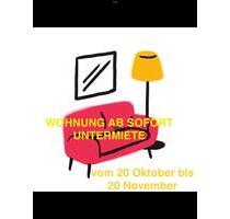 Untermiete Wohnung - 1.000,00 EUR Kaltmiete, in Dresden (PLZ: 01307) Altstadt