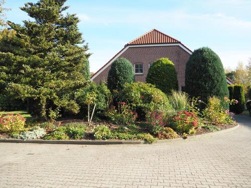 Foto - 1 Zimmer Erdgeschoßwohnung zur Miete in Neubörger