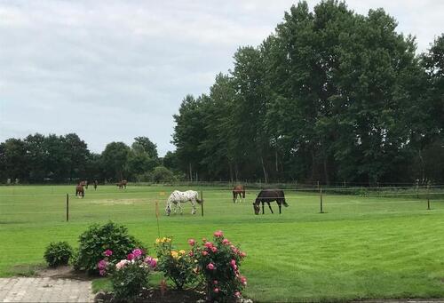 Foto - Erdgeschoßwohnung in Neubörger zur Miete