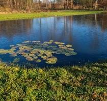 4 Teichen zu vermieten in Wildeshausen - Cloppenburg
