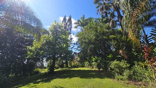 Foto - Einfamilienhaus in Staudach-Egerndach