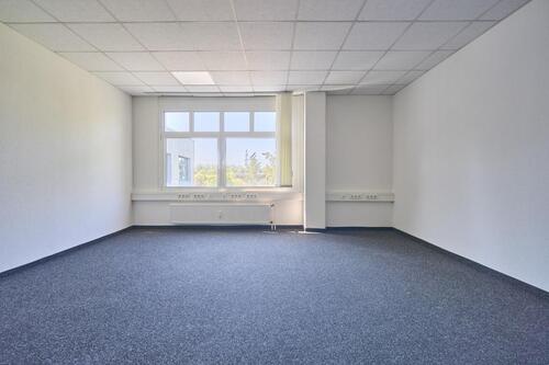 Foto - andere in Würselen