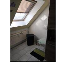 Traumhaft schöne 3 Raum - DG Wohnung mit DACHTERRASSE - Schipkau Barranmühle