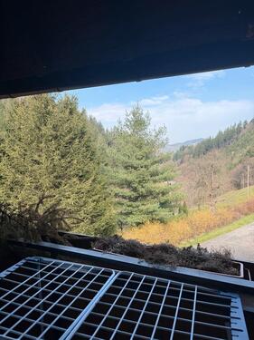 Foto - 3 Zimmer Dachgeschoßwohnung zur Miete in Münstertal/Schwarzwald