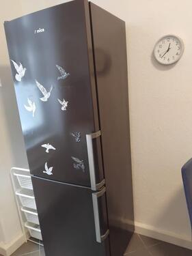 Foto - 2 Zimmer Etagenwohnung zur Miete in Dresden