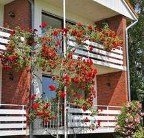 Rosige Zeiten! Wohnung im Reihenhaus-Stil direkt am Deich: 2 Wohneinheiten, 2 Küchen, 2 Bäder! - Wangerland