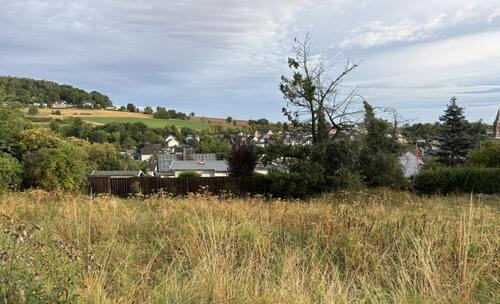 Foto - Grundst&uuml;ck zum Kaufen in Mechernich