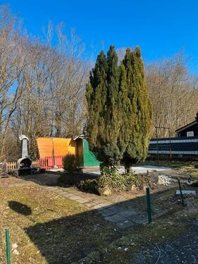 Foto - Dauerstellplatz Wiesensee Camping Stahlhofen