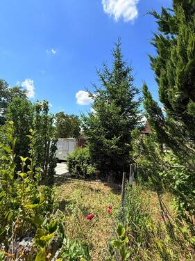 Foto - Grundst&uuml;ck in Arnstadt