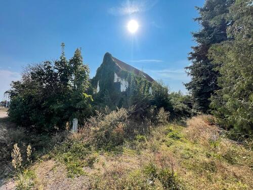 Foto - Einfamilienhaus zur Miete in Falkenberg/Elster