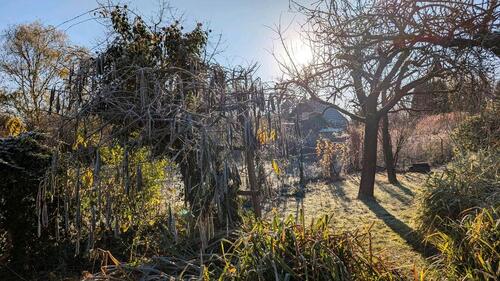 Foto - Grundstück in Hannover zur Miete
