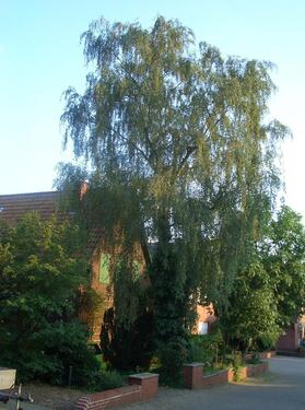 Foto - Haus am wunderschönen Teutoburger Wald
