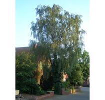 Haus am wunderschönen Teutoburger Wald - Lengerich