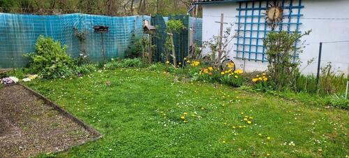 Foto - Grundst&uuml;ck in Hessisch Oldendorf zur Miete