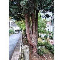3zkb Wohnung Kassel - 990,00&nbsp;EUR Kaltmiete, ca.&nbsp; 80,00&nbsp;m&sup2; in Kassel (PLZ: 34128) Harleshausen