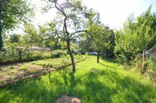Foto - GartenGrundstück, Zu Vermieten, Zu Verpachten.