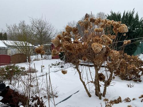 Foto - Gartenhaus auf Eigenland - 125.000,00&nbsp;EUR Kaufpreis, ca.&nbsp; 35,00&nbsp;m&sup2;