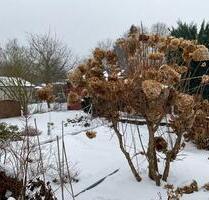 Gartenhaus auf Eigenland - 125.000,00&nbsp;EUR Kaufpreis, ca.&nbsp; 35,00&nbsp;m&sup2; in Hamburg (PLZ: 21077) Harburg