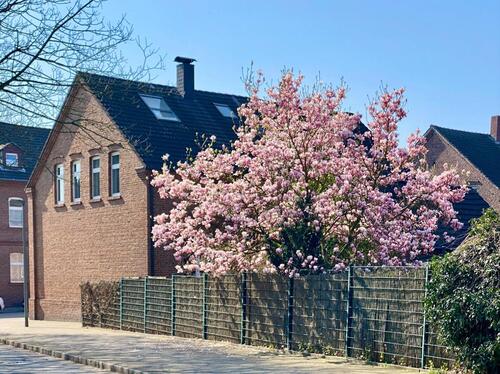 Foto - Liebevoll renoviertes Haus in GE-Erle (Nähe Gräfte-Siedlung)