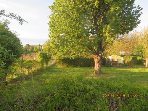 Foto - Vermietung schöner Obstgarten mit herrlicher Lage