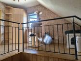 Foto - 3 Zimmer Einfamilienhaus in Delitzsch