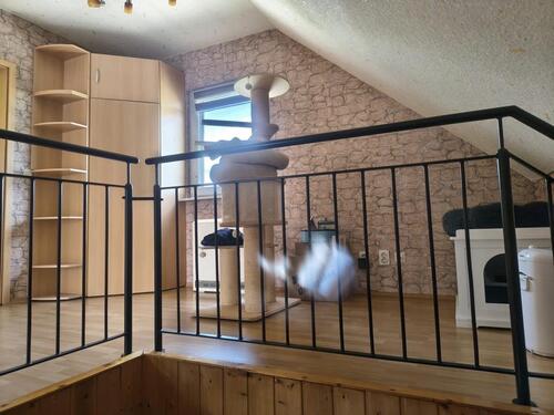 Foto - 3 Zimmer Einfamilienhaus in Delitzsch
