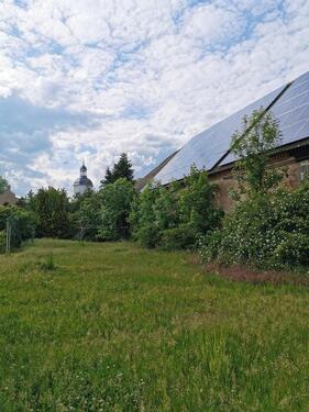 Foto - Mehrfamilienhaus, Wohnhaus in Beilrode zum Kaufen