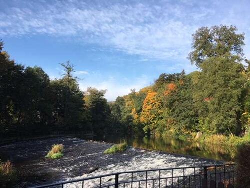 Foto - Etagenwohnung in Zschopau zur Miete