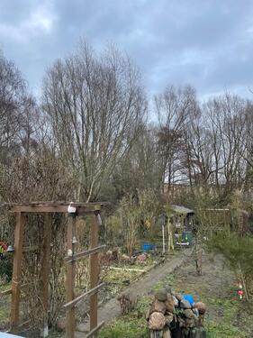 Foto - Kleingarten Nähe Reutershagen Marienehe günstig abzugeben