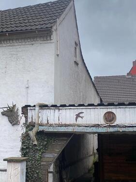 Foto - 6 Zimmer Einfamilienhaus in Duisburg