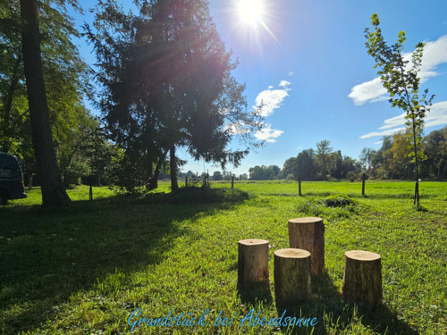 Foto - Grundstück zur Miete in Oberding