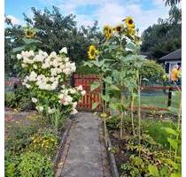 Kleingarten „Verbindungsweg“ - 4.600,00&nbsp;EUR Kaltmiete, ca.&nbsp; 0,00&nbsp;m&sup2; in Rostock (PLZ: 18146) Alt Bartelsdorf