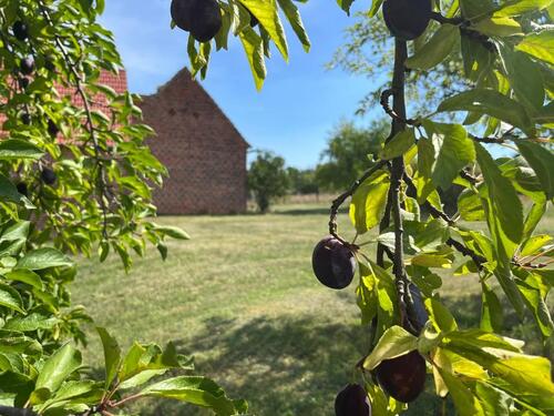 Foto - VIER-SEITEN-HOF in Spremberg direkt vom Eigentümer