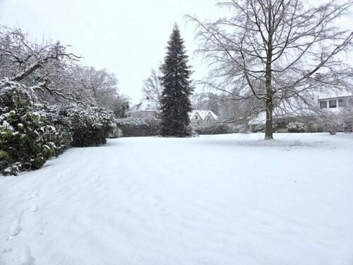 Foto - 8 Zimmer Einfamilienhaus zur Miete in Ganderkesee