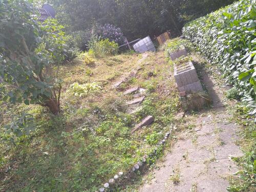 Foto - 