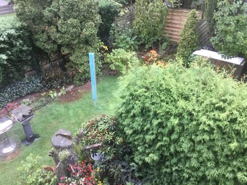 Foto - Einfamilienhaus in Augustdorf