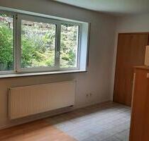 1-Zimmer Souterrainwohnung 38qm - Neunkirchen am Brand