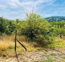Garten Streuobstwiese zu verpachten. Top. Ruhig. - Klingenmünster