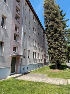 Foto - 2-Zimmer-Wohnung in ruhiger Lage