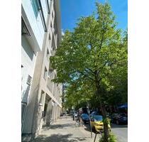 Sublet clean an quiet apartment in Berlin Mitte