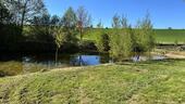 Foto - Idyllisches Freizeitgrundstück mit 3 Weihern zu verpachten