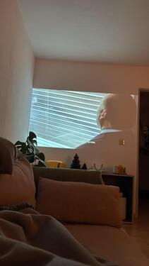 Foto - 2 Zimmer Etagenwohnung in Köln