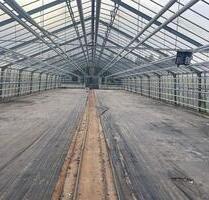 Verpachtung 500 m2 - 250,00&nbsp;EUR Kaltmiete, ca.&nbsp; 0,00&nbsp;m&sup2; in Kevelaer (PLZ: 47624) Twisteden