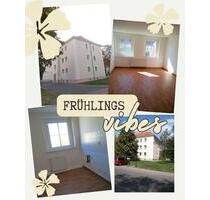 Wohnen im Geiseltal - 3-Raum-Wohnung - Braunsbedra