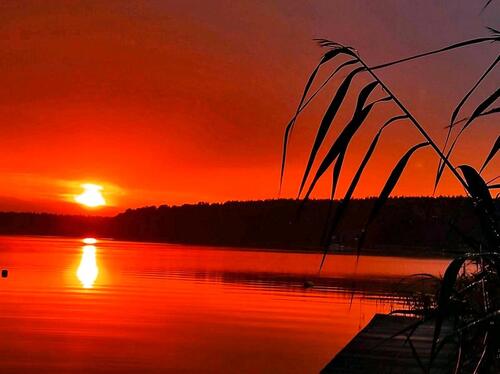 Foto - Ferienhaus in Neu Canow Mecklenburg Vorpommern