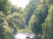 Foto - andere in Beeskow