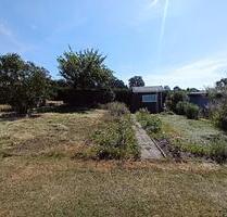 Kleingarten zu verpachten - 75,00 EUR Kaltmiete, ca.  0,00 m² in Seifhennersdorf (PLZ: 02782)