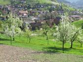 Foto - Etagenwohnung zur Miete in Seebach