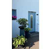 Ferienwohnung am Salm-Radweg Region Eifel-Mosel - Osann-Monzel