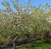 Garten mit Massivlaube zur Pacht - Neubrandenburg Carlshöhe